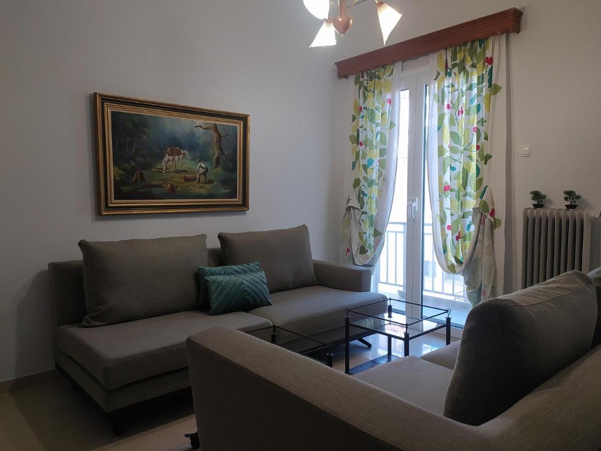 Helen'S Downtown Apartment Ioannina Extérieur photo